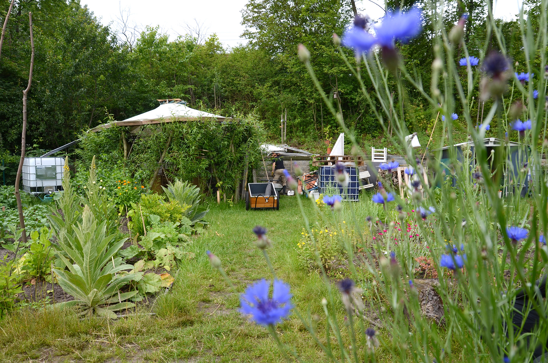 TT-BI-Gem-Garten_im_gruenen_Band_4598-x